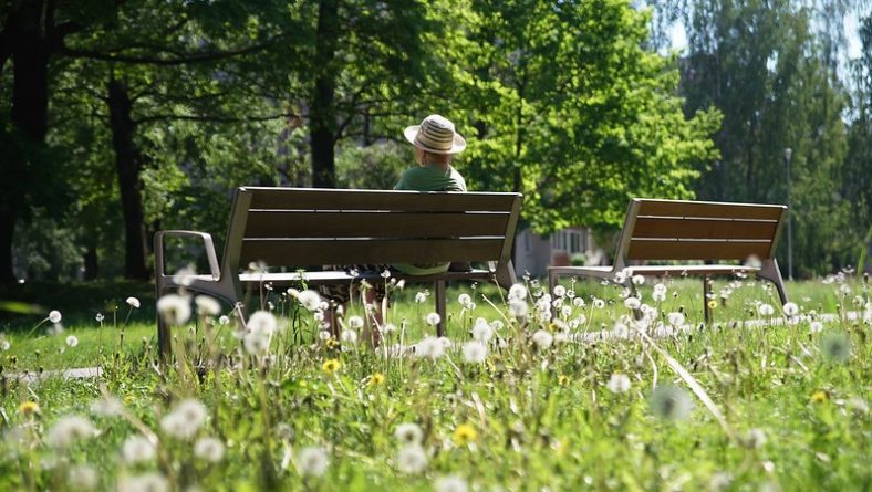 Labiekārtots Ozolaines parks Duntes ielā